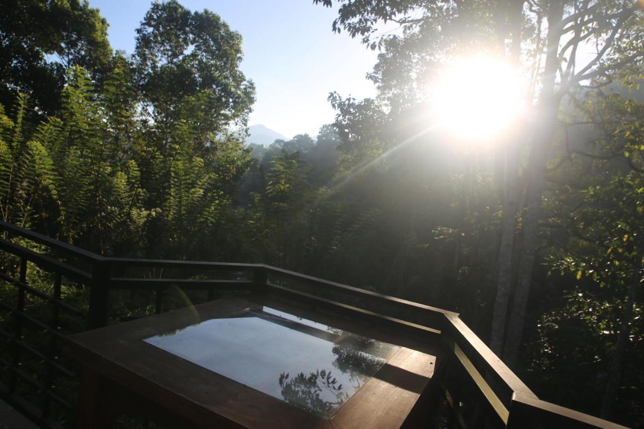 Rivinu Holiday Resort Ella Luaran gambar