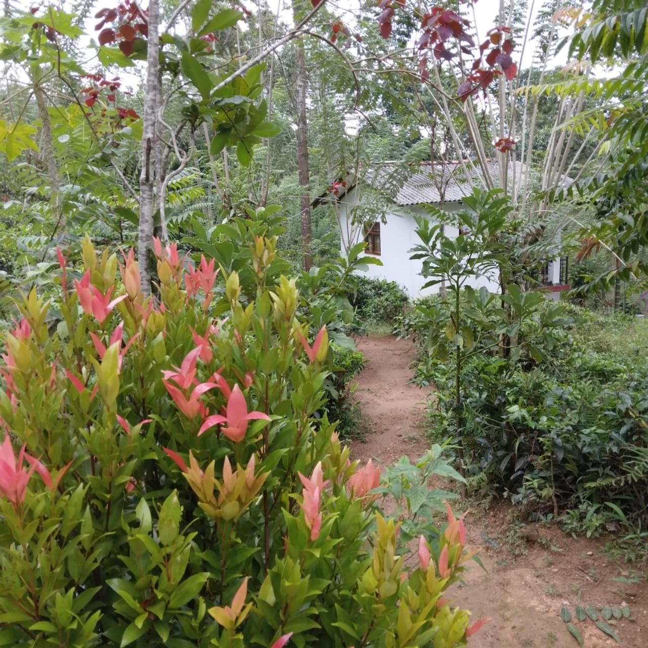 Rivinu Holiday Resort Ella Luaran gambar